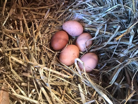 Castle Farm Free Range Eggs