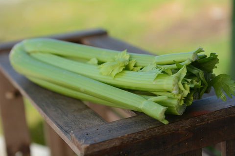 Table Celery