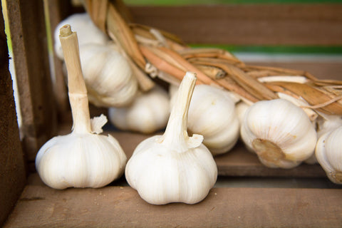 Garlic bub